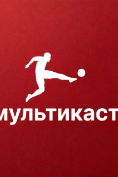 Бундеслига / СИМУЛКАСТ / МУЛЬТИКАСТ / 5 матчей в одном эфире